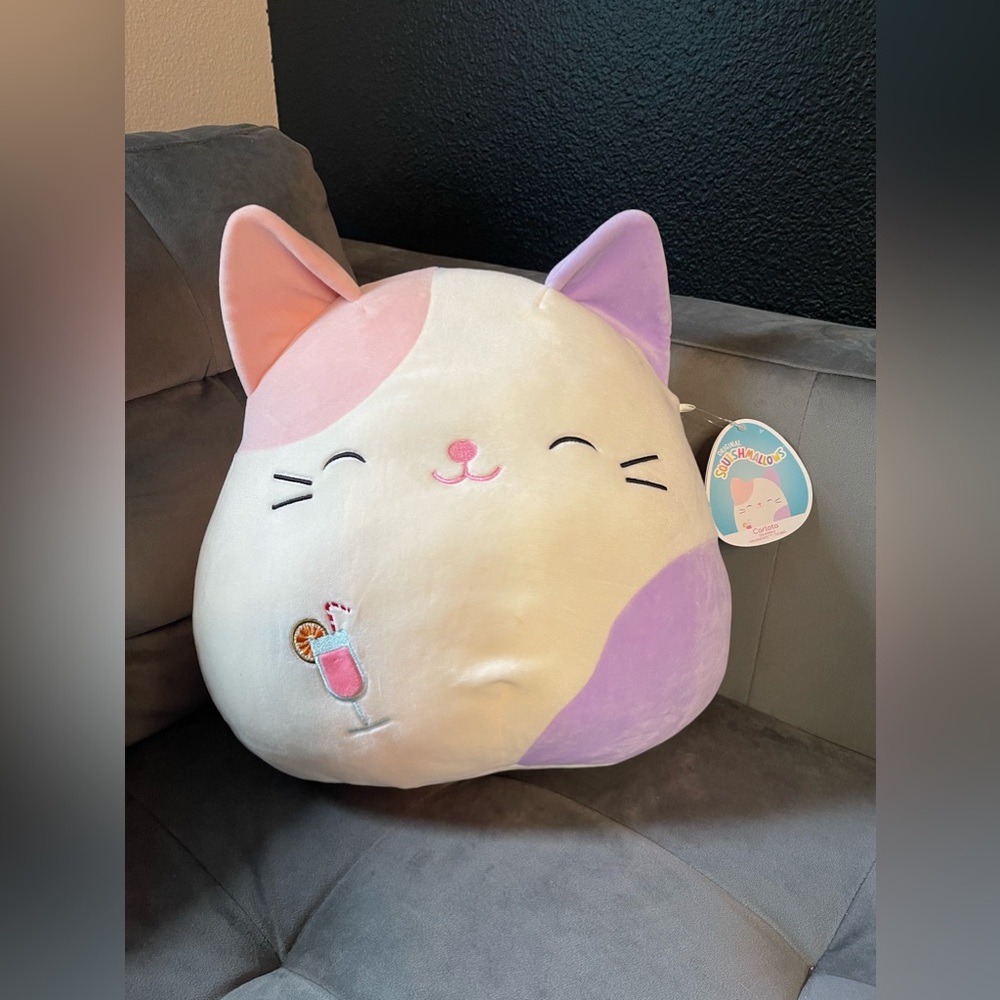 NWT Squishmallow Carlotta the cat